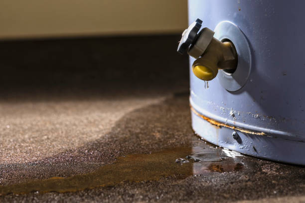 Best Ceiling water damage repair  in Sulphur Springs, AR