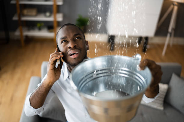 Best Basement water damage restoration  in Sulphur Springs, AR