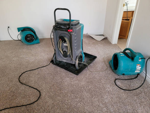 Best Water damage restoration process  in Sulphur Springs, AR