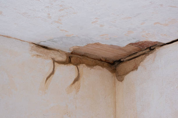 Best Local water damage restoration  in Sulphur Springs, AR