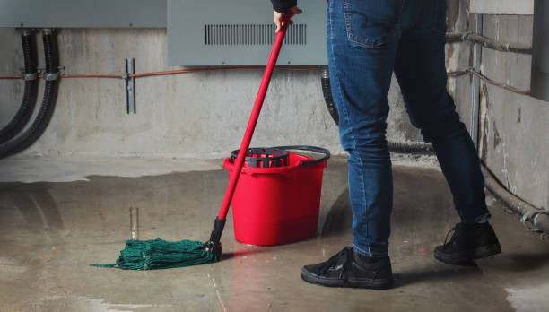 Best Emergency water damage restoration  in Sulphur Springs, AR
