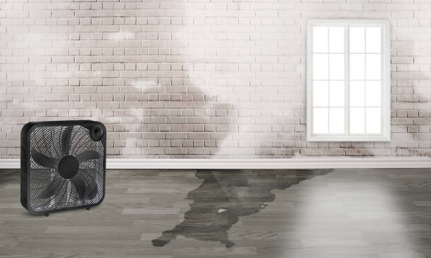 , AR Water damage restoration Company