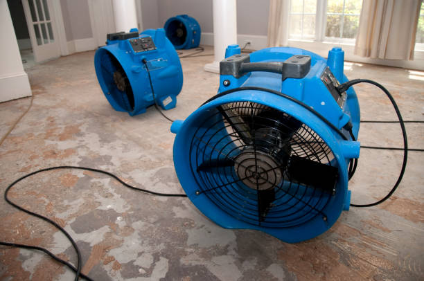  Sulphur Springs, AR Water damage restoration Pros