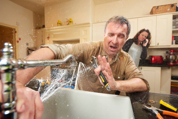 Best Flooded house restoration  in Sulphur Springs, AR